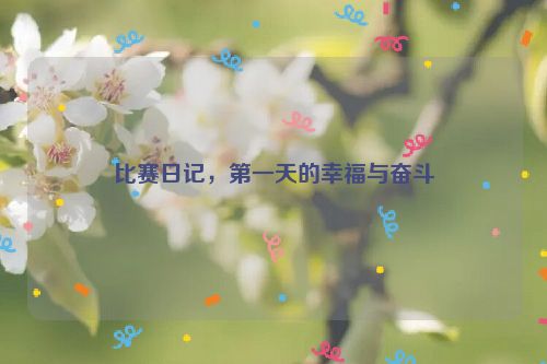 比赛日记，第一天的幸福与奋斗