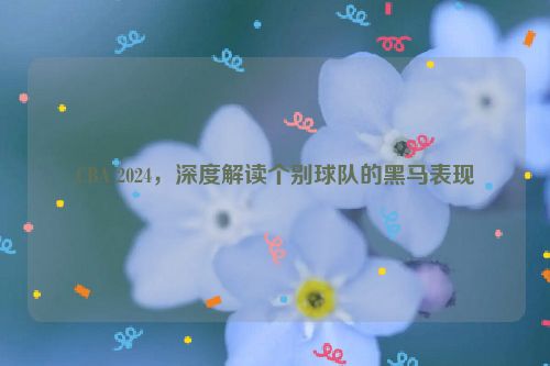 CBA 2024，深度解读个别球队的黑马表现