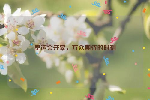 奥运会开幕，万众期待的时刻