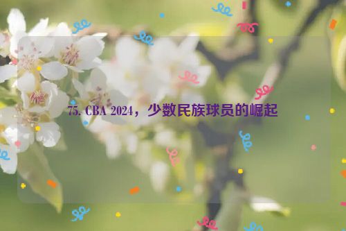 75. CBA 2024，少数民族球员的崛起