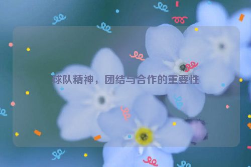 球队精神，团结与合作的重要性