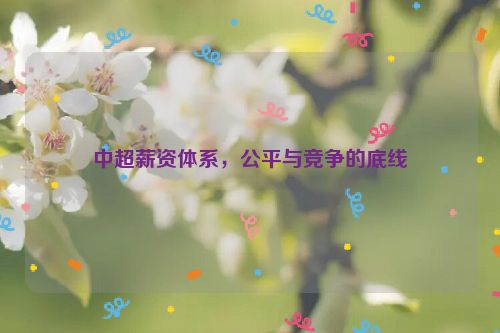 中超薪资体系，公平与竞争的底线